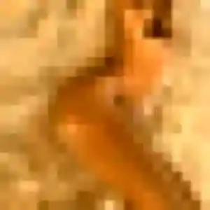 Ibtissam, 43 ans, dispo pour rencontre cougar à Auvers-sur-Oise
