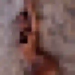 Photo de Xena à Ballan-Miré (23 ans) - rencontre cougar anonyme
