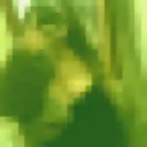 Photo exclusive de Hilary, 34 ans à Barlin - plan discret