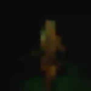 Fiona (22 ans) à Basse-Terre cherche un rencontre cougar aujourd'hui