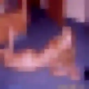 Harmony, 34 ans, dispo pour rencontre cougar à Bernay