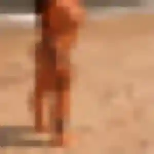 Photo perso de Nolwenn, 45 ans à Biguglia - rencontre sans lendemain