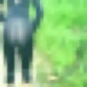 Photo exclusive de Nicole, 31 ans à Billère - rencontre coquine