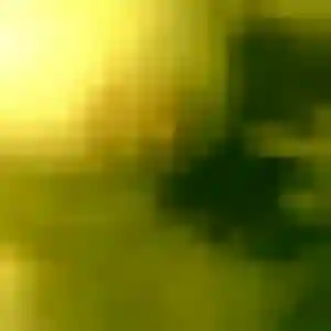 Sexy Jessica, 22 ans à Bras-Panon - voir sa photo