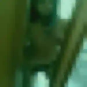 Jacqueline, 39 ans, cherche un rencontre cougar à Carmaux