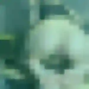 Lise, femme de 43 ans cherche rencontre cougar à Carpentras