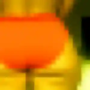 Contacte Zoe, 24 ans à Chalonnes-sur-Loire en privé