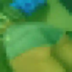 Photo privée de Natacha, 42 ans à Chambray-lès-Tours - plan discret