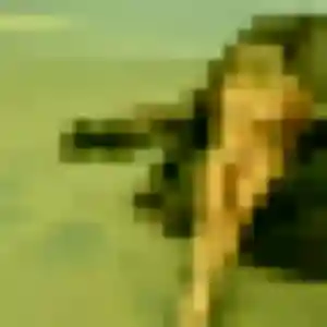 Sexy Amandine, 22 ans à Châtellerault - découvrir son profil
