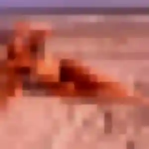 Photo de Noura à Coulommiers (24 ans) - rencontre cougar anonyme