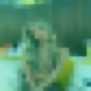 Flavia, 24 ans, cherche un rencontre cougar à Courthézon