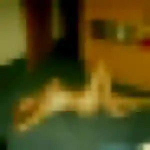Photo sexy de Tania, 27 ans à Darnétal - rencontre coquine