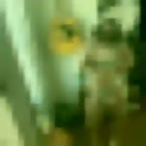 Photo privée de Fatima, 21 ans à Épernay - rencontre sans lendemain
