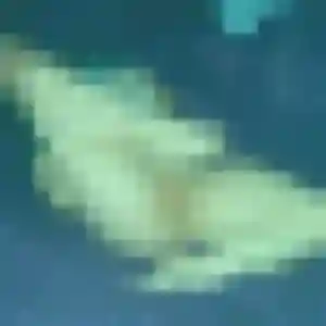 Profil de Henriette à Épinay-sous-Sénart (21 ans) - rencontre cougar gratuit