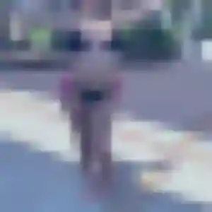 Jolie Cecile, 44 ans à Fenouillet - la contacter
