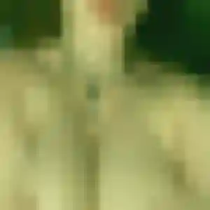 Clarisse, 36 ans, disponible à Fonsorbes pour une rencontre coquine