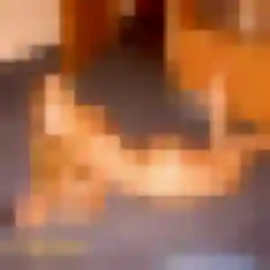 Profil de Rosalie à Fonsorbes (40 ans) - rencontre cougar gratuit