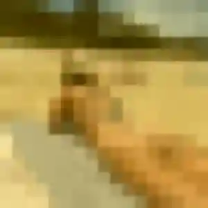 Margaux, fille de 34 ans cherche rencontre cougar à Fontainebleau