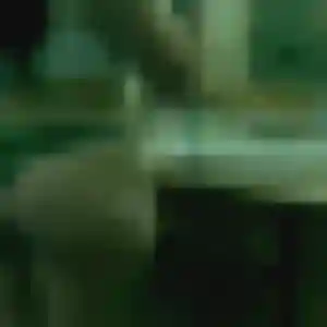 Quitterie, femme de 27 ans veut rencontre cougar à Fort-de-France