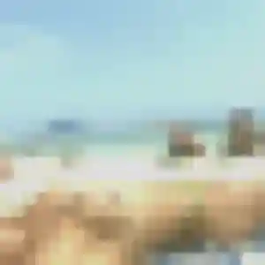 Ameline (26 ans) à Gif-sur-Yvette cherche un rencontre cougar ce soir