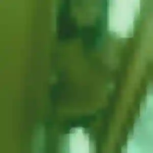 Profil de Sonia à Guebwiller (36 ans) - rencontre cougar discret