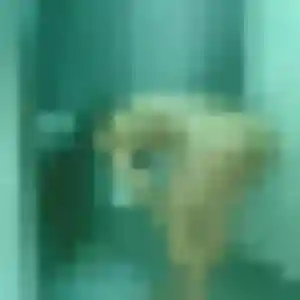 Photo sexy de Axelle, 32 ans à Hauts de Bienne - rencontre coquine