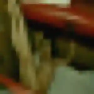 Photo perso de Maya, 41 ans à La Chapelle-d'Armentières - rencontre coquine