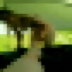 Profil de Paloma à La Farlède (44 ans) - rencontre cougar gratuit