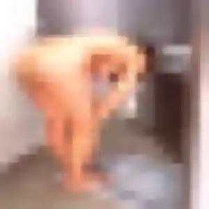 Salome de La Valette-du-Var, 42 ans - rencontre cougar en toute liberté