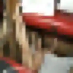 Profil de Bettina à Le Cannet (42 ans) - rencontre cougar discret