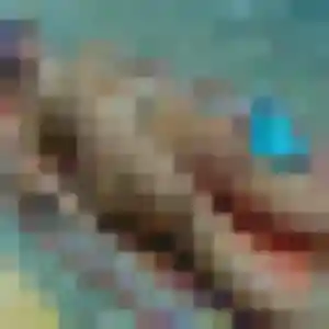 Photo de Imane à Le Cendre (28 ans) - rencontre cougar gratuit