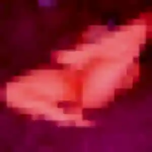 Profil de Odile à Le Grand-Quevilly (38 ans) - rencontre cougar gratuit