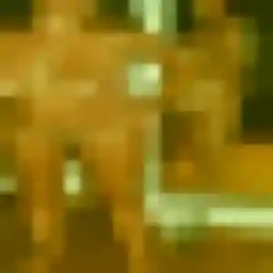 Delphine, 23 ans, disponible à Le Pecq pour un rencontre cougar