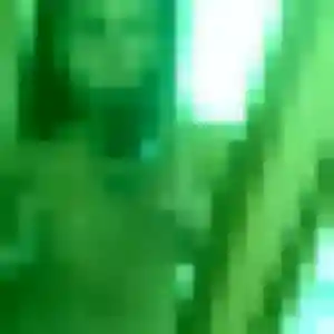 Sexy Priscilla, 29 ans à Le Pian-Médoc - la contacter
