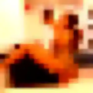 Photo privée de Leila, 34 ans à Les Abrets en Dauphiné - plan discret