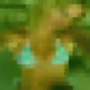 Tatiana, 33 ans, disponible à Les Pavillons-sous-Bois pour un rencontre cougar