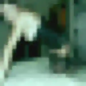 Alicia, femme de 27 ans propose rencontre cougar à Linselles