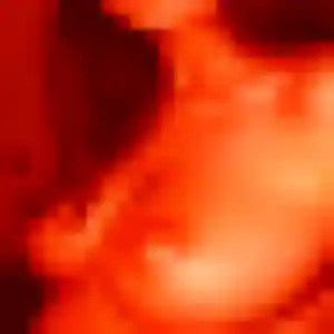 Corinne, 35 ans, en ligne à Livarot-Pays-d'Auge pour une rencontre coquine