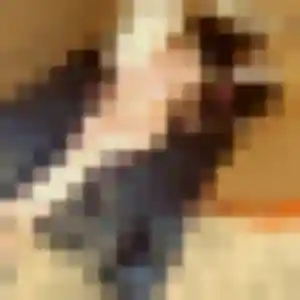 Profil de Daniela à Loison-sous-Lens (19 ans) - rencontre cougar anonyme