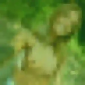 Marie-Pierre (45 ans) à Longué-Jumelles cherche un rencontre cougar aujourd'hui