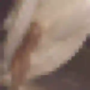 Noemie, 39 ans, dispo pour rencontre cougar à Lons-le-Saunier
