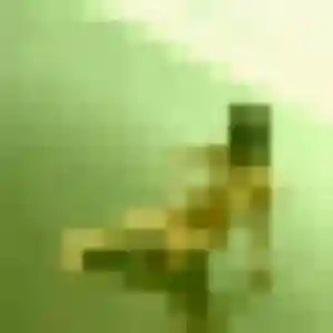 Photo perso de Ameline, 33 ans à Luxeuil-les-Bains - rencontre coquine