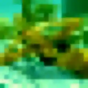 Leila, 25 ans, cherche un rencontre cougar à Martigues