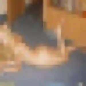 Josephine, 31 ans, cherche un rencontre cougar à Mennecy