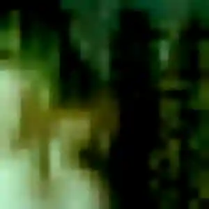 Leontine, 44 ans, veut un rencontre cougar à Méry-sur-Oise