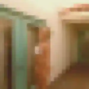Marion (28 ans) à Meung-sur-Loire attend un rencontre cougar maintenant