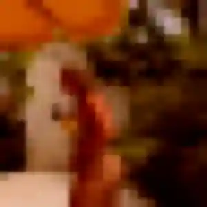 Jolie Sophie, 24 ans à Millau - la contacter
