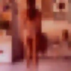 Contacte Louna, 28 ans à Mons-en-Barœul en privé