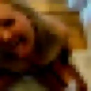 Inaya, 33 ans, connectée à Montauban-de-Bretagne pour une rencontre coquine