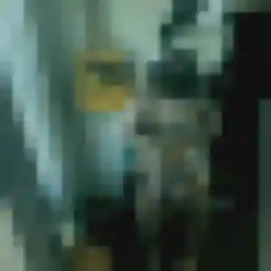 Profil de Bernadette à Montigny-le-Bretonneux (27 ans) - rencontre cougar discret